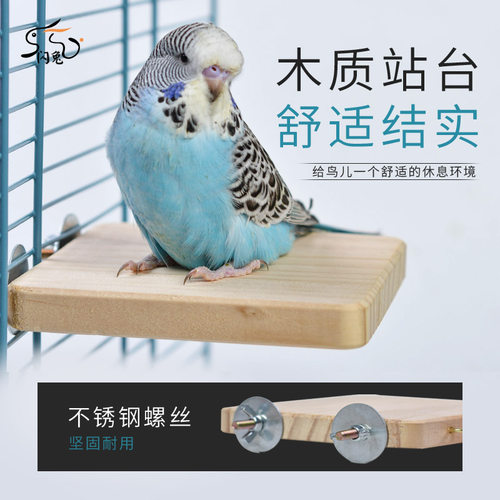 鹦鹉爬梯虎皮牡丹玄凤鸟类用品玩具磨爪棒磨砂站杆花椒木鸟笼站杠