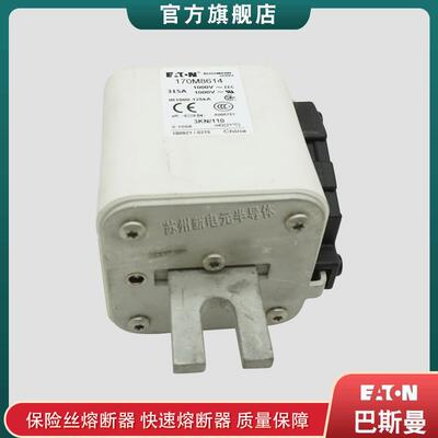 170M8614 8615 8616 8617 8618 巴斯曼bussmann快速熔断器保险丝