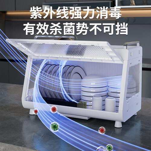 佳宥碗碟收纳架家用厨房消毒双层碗柜带盖沥水收纳箱置物架碗筷具