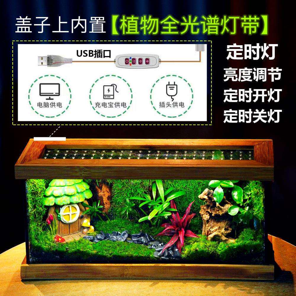 桌面生态缸迷你绿植室内盆栽生态瓶苔藓微景观装饰摆件送礼景观