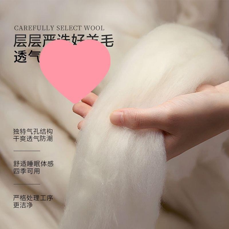 百富帝澳洲羊毛防潮床垫垫褥床褥垫家用租房专用单人褥子被褥铺底