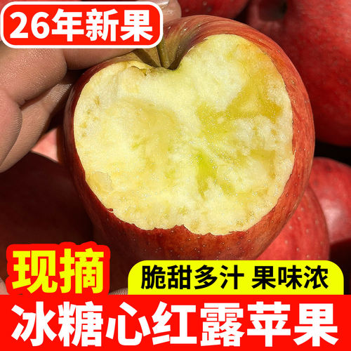 云南昭通小苹果2026新鲜头茬红露樱桃小苹果孕妇新鲜应季时令水果
