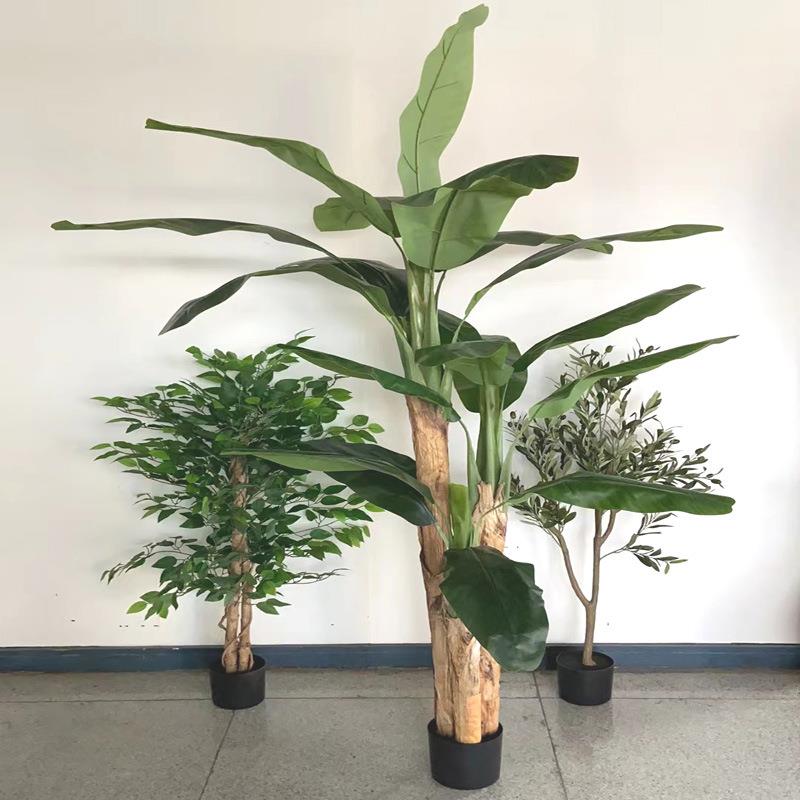 绿植大型芭蕉树落地盆景工程植物造景香蕉树室内假树仿真绿植