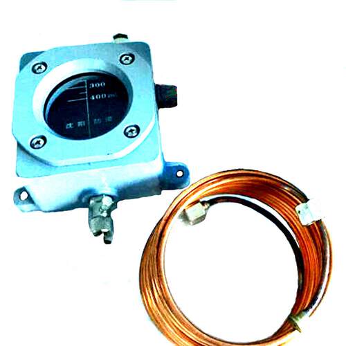QJ1-80A-TH变压器气体继电器 瓦斯继电器（带集气盒）