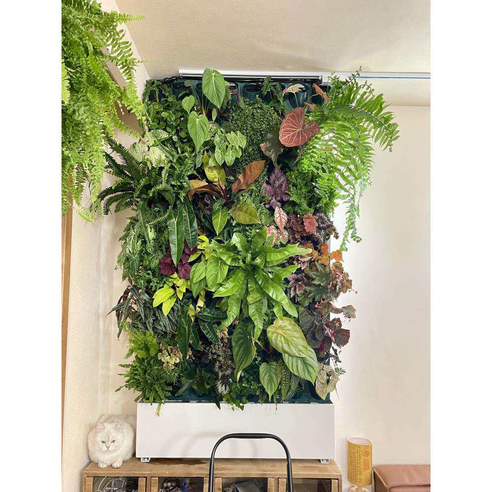阳台自动浇水植物墙花架户外庭院多层移动蔬菜种植架绿植墙花架子
