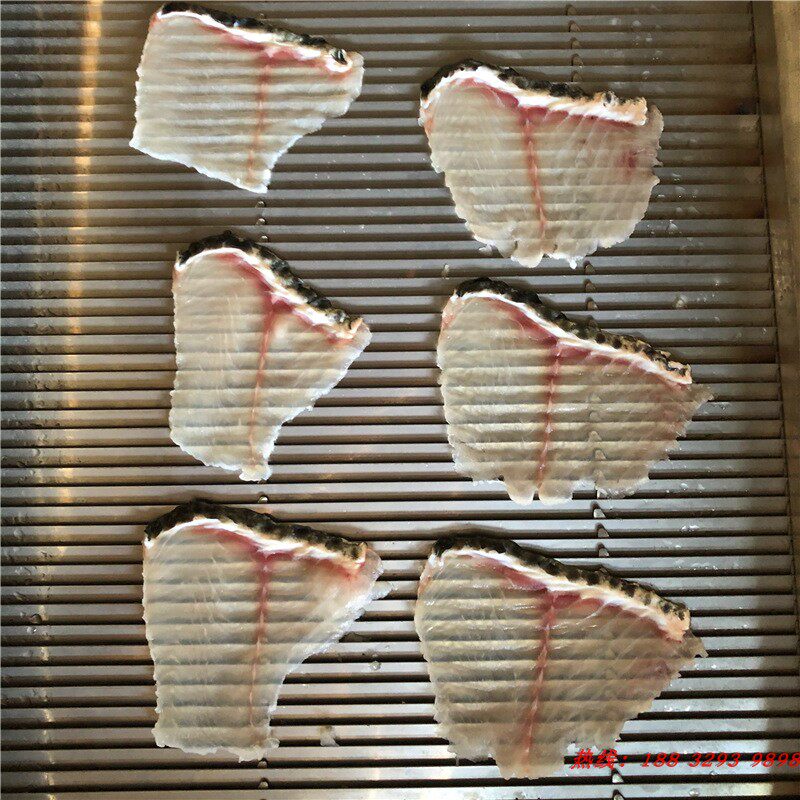新商用全自动斜切鱼片机 小型黑鱼草鱼巴沙鱼切片机  肉类鱼片