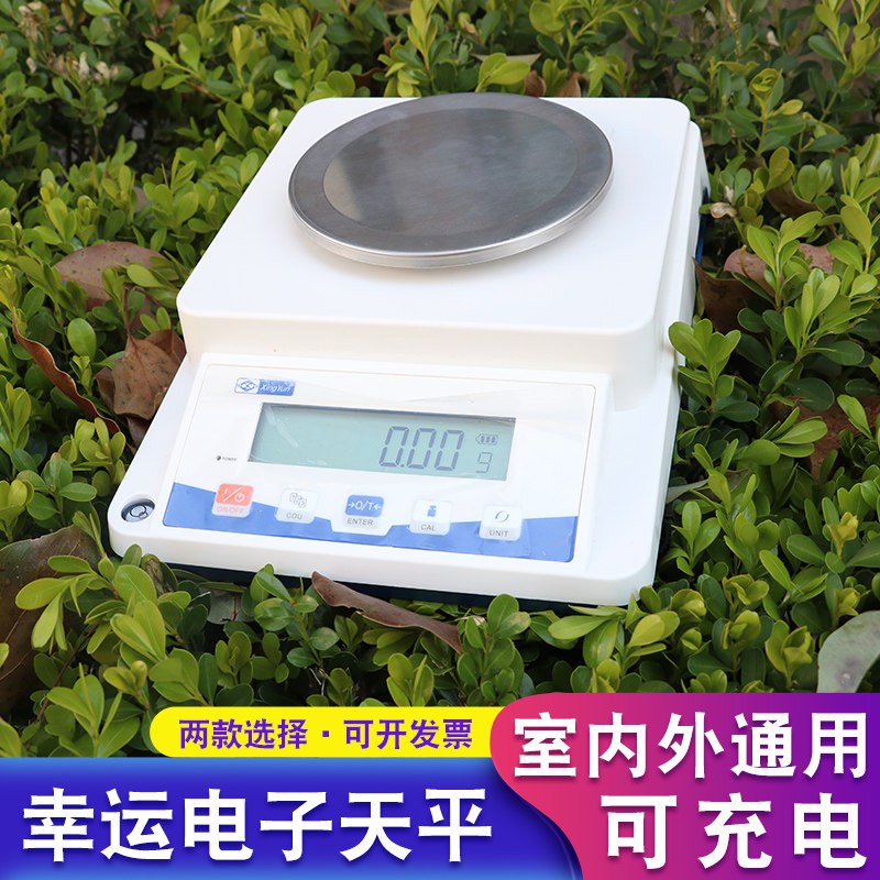 可充电幸运电子天平秤称重器0.01g/0.1g实验室高精度克重称电子秤
