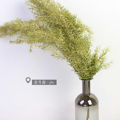 草叶香思叶AGI黄莺千银菊层金云南特色配花配叶干枝装饰手工材料