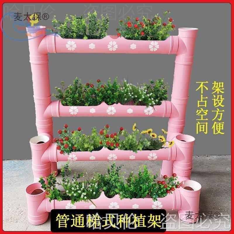 管道种菜种植小菜园子种花土耕种植家庭梯式架阳台种菜菜园麦太保