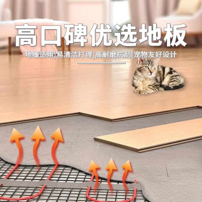 高端轻奢风凡尔赛艺术拼花多层实木复合地板多花型多木种客厅家装