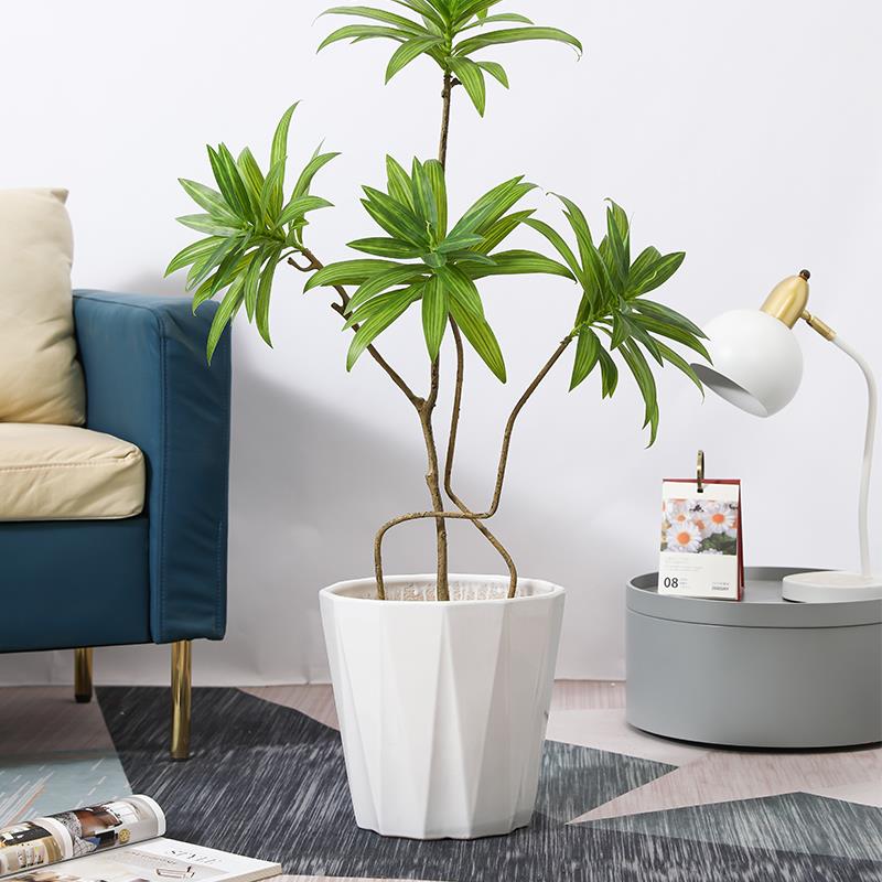 陶瓷花盆家用白色大号口径客厅种绿植发财树幸福树金钱树花盆专用