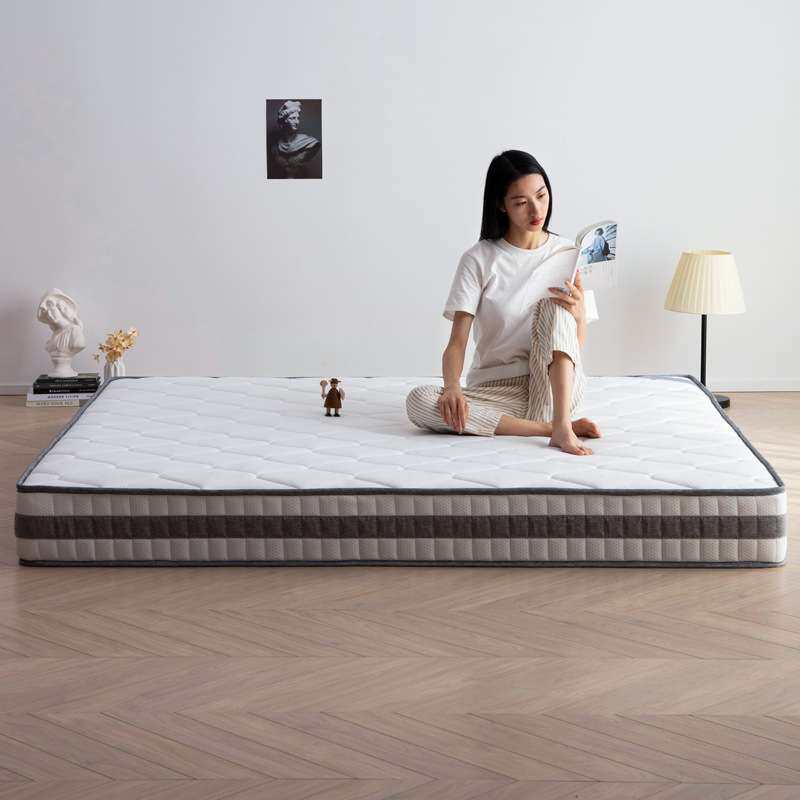 席梦思弹簧床垫软垫经济型1.5m1.8米椰棕垫软硬适中加厚20cm家用