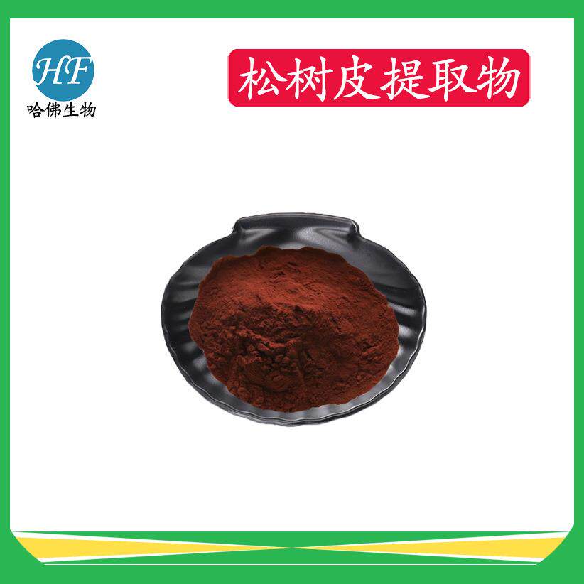 松树皮提取物 原花青素95% 厂家现货供应