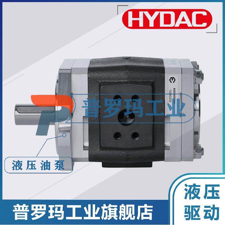 德国HYDAC贺德克油泵PGI103-5-064-RA23-10 PGI101-1-032-RK23-10