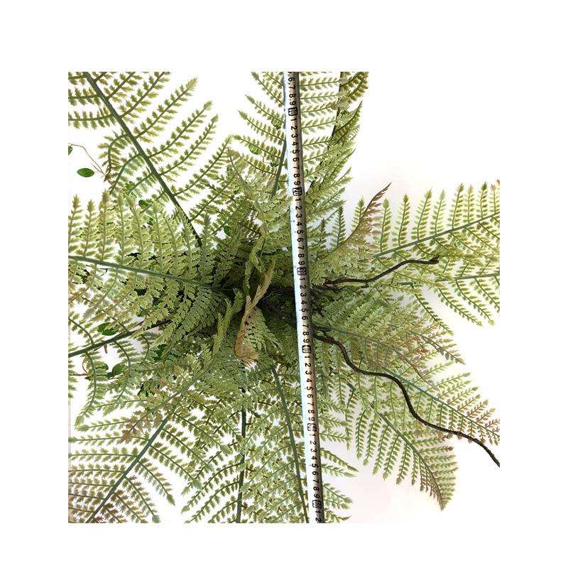 仿真植物蕨类迷你盆栽姬蕨叶绿植大叶波斯草插花工程装饰厂家