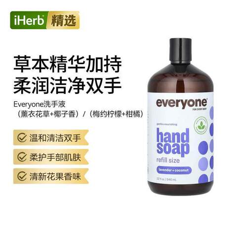 Everyone Hand Soap洗手液温和守护双手清新果香