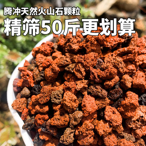 火山石颗粒50斤腾冲天然精筛温和弱酸性多肉兰花铺面鱼缸水族造景