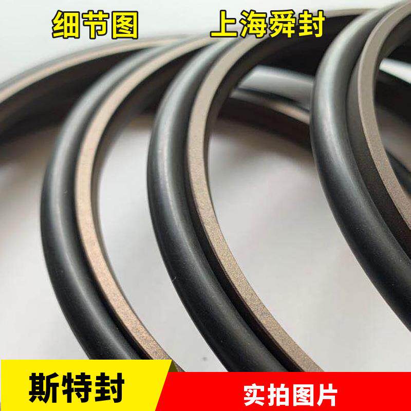 FLUORTEN斯特封 轴用NCR STD OD BSJ RS PTFE密封圈
