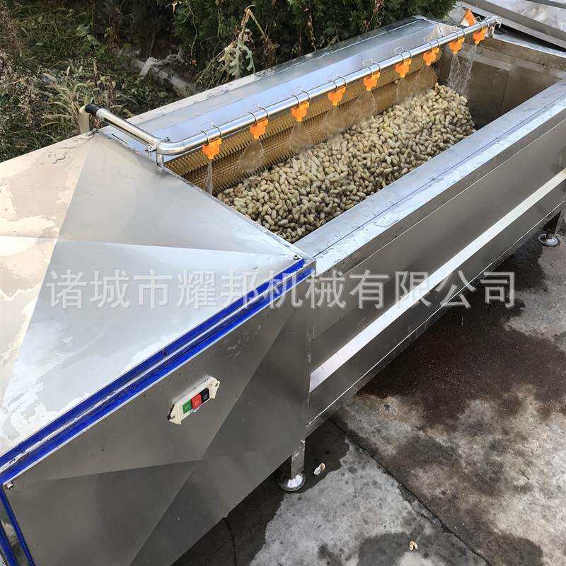 全自动花生清洗机 不锈钢毛刷式花生果清洗设备 大型洗花生机器