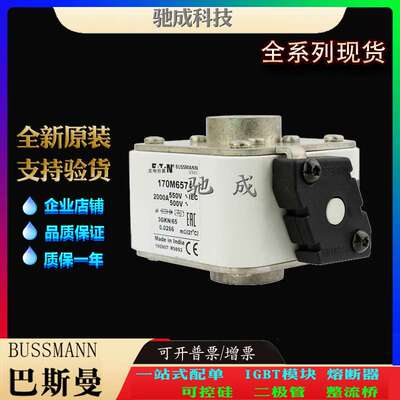 巴斯曼170M6570 170M6571 170M6581 加工制作 价优 快速熔断器