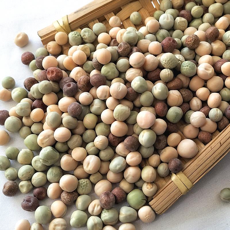 50斤豌豆组合鸽粮饲料枫豆绿豌豆类混合鸽粮高蛋白赛鸽信鸽成鸽饲