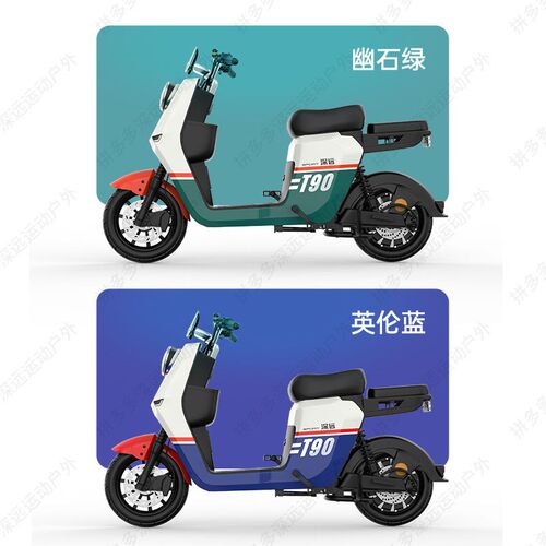 新新国标深远T90-GB10寸成人家用代步智能电动车