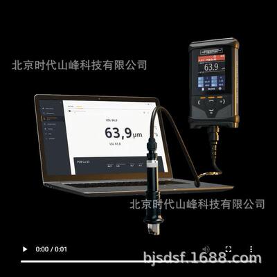 德国FISHCER 菲希尔FMP10-20-P30-P40涂镀层测厚仪DMP10-20-30-40