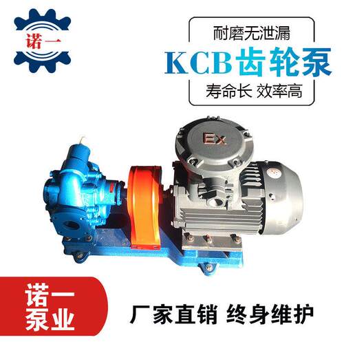 铸铁材质齿轮油泵自吸式铜齿轮抽油泵润滑机油无泄漏KCB齿轮泵