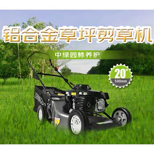 中绿 汽油动力GXV160发动机20寸四冲程草坪机 修剪机械ZGL500SH