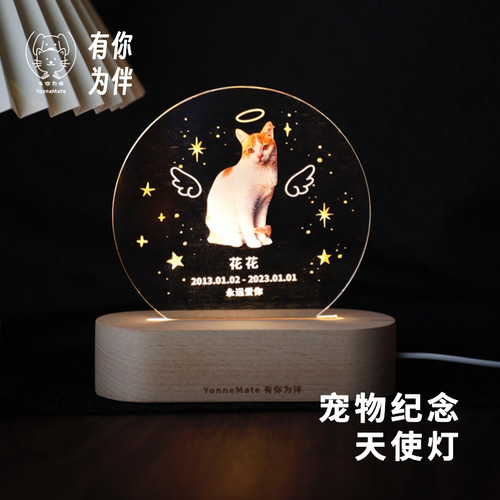 宠物长明灯纪念品定制离世毛发猫咪狗狗爪印照片相框去世摆台骨灰
