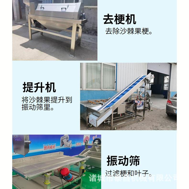 沙棘汁原浆饮料生产线沙棘果打浆机全自动浓缩果浆加工流水线