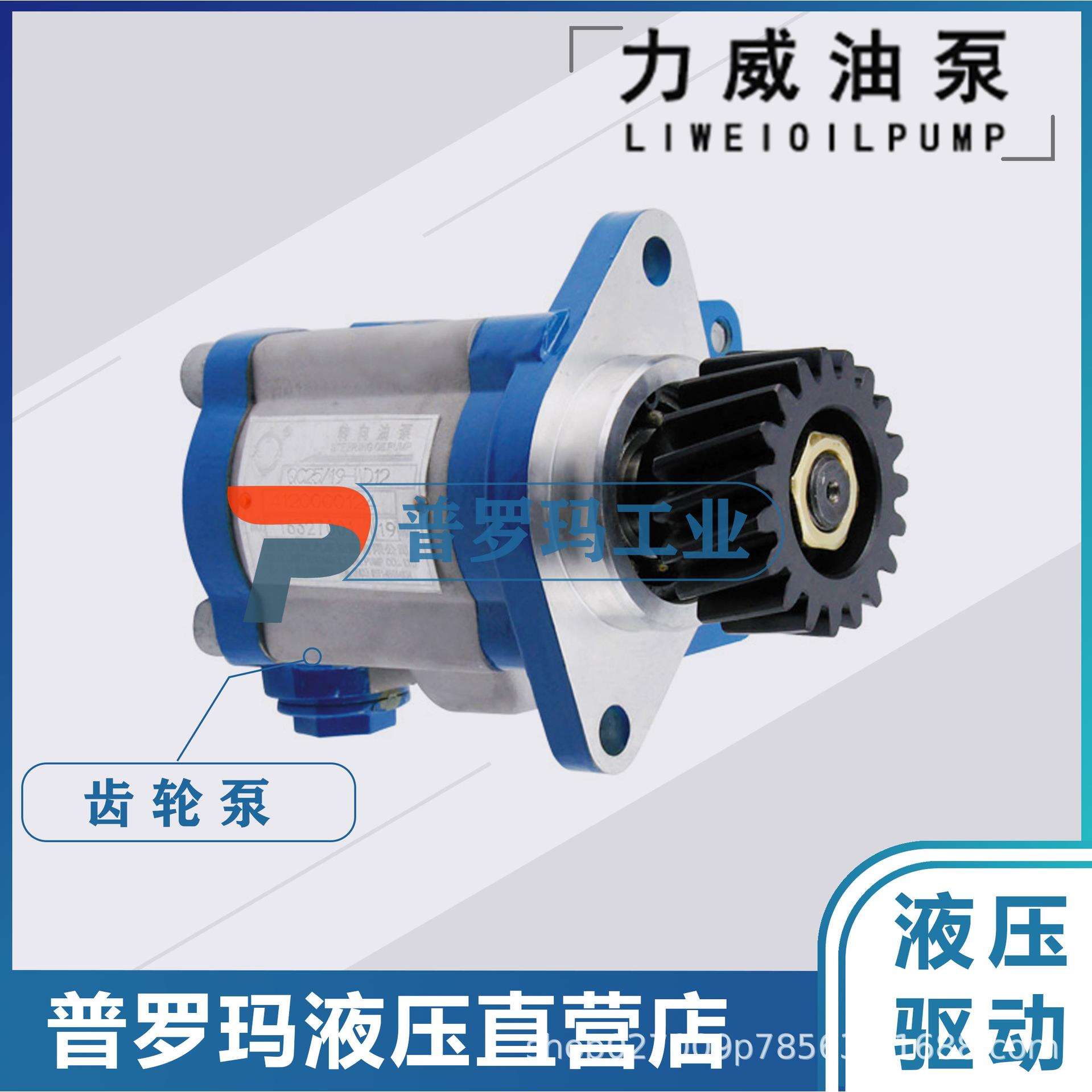 合肥力威汽车转向油泵 中联重科吊车液压助力泵 QC20/15-WP10-ZL图片