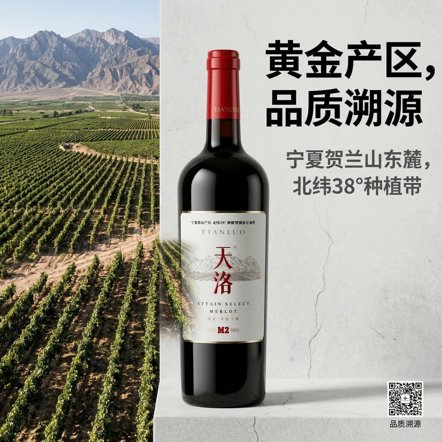 国货精品宁夏贺兰山东麓产区单一梅洛天洛M2臻选干红葡萄酒六支装