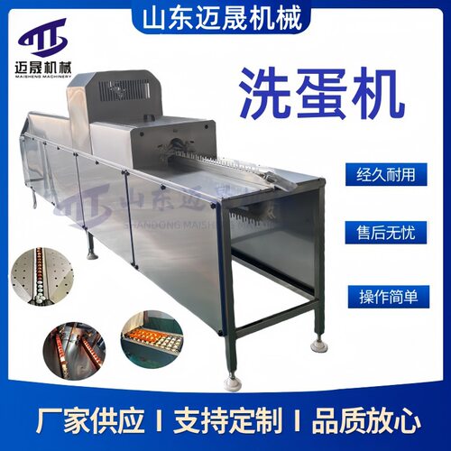 鹌鹑蛋鸭蛋清洗设备 毛刷鸡蛋鹅蛋清洗机大型喷油喷码保鲜洗蛋机