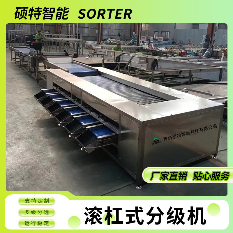 柠檬全自动滚杠式分拣机 西红柿直径分选机 油杏大小多级选果机图片