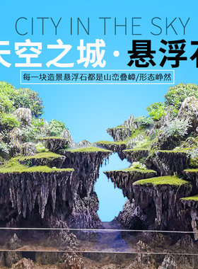 悬浮石鱼缸造景石天空之城天然大号轻石头种草水陆缸造型材料套餐