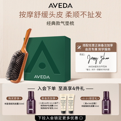 【刻字专享Aveda艾梵达气垫按摩梳 头皮护理造型气囊梳子便携