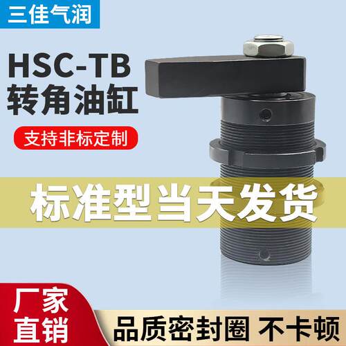 全牙型本体螺安装转角液压油缸C-TB25/3C-TB2/540/0S纹9RX0工装夹