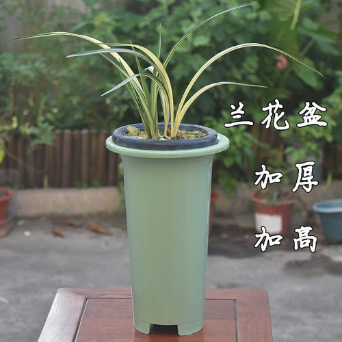 兰花专用高档室内种植盆树脂加厚