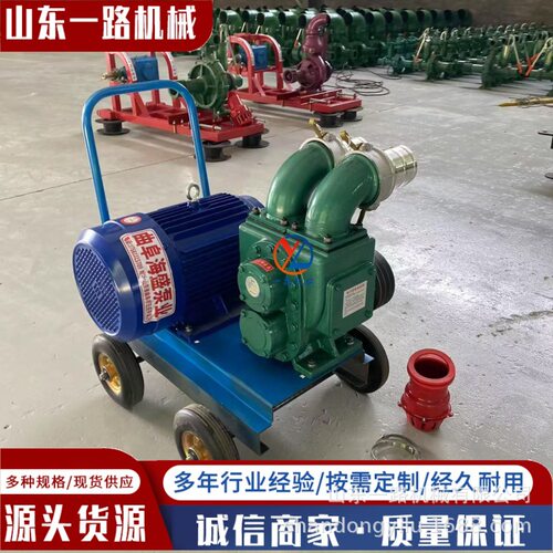 5.5kw电机推车式抽粪泵 3寸口径泥浆泵 直吸直排污水处理水泵