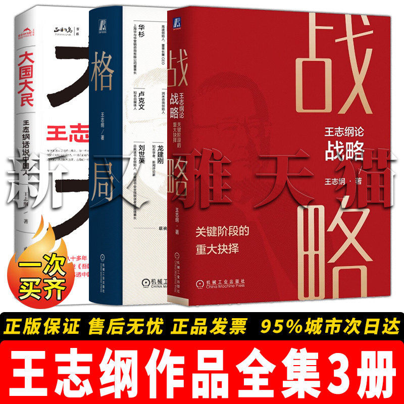 【正版】王志纲作品全集【3册】王志纲论战略:关键阶段的重大抉择 +王志纲格局+ 大国大民