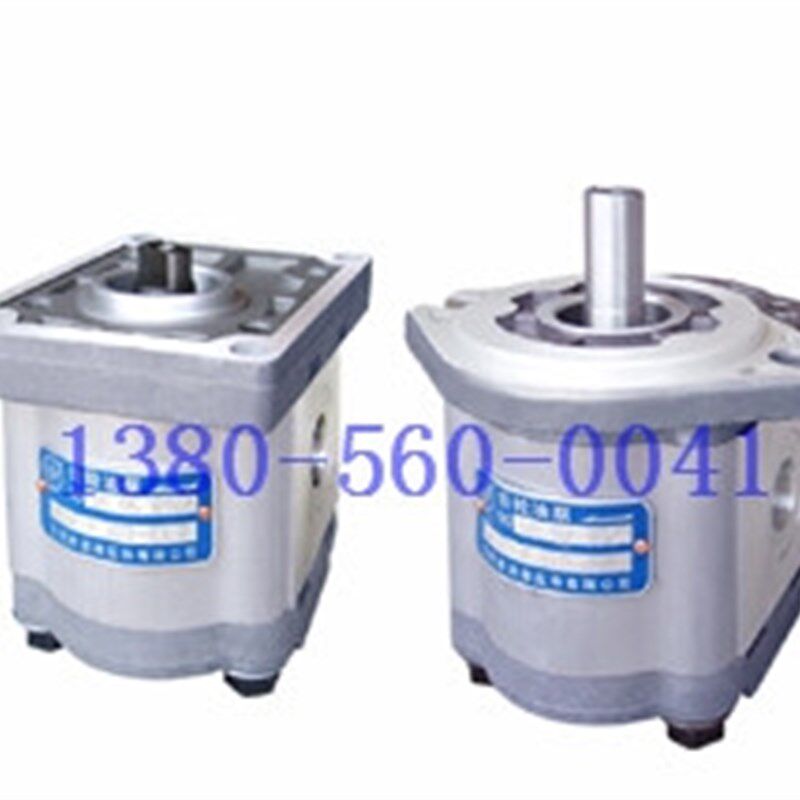 合肥赛源SY齿轮泵 CBW-F306-CLP  CFP CFH  CLH  AFP ALP/AFH/ALH