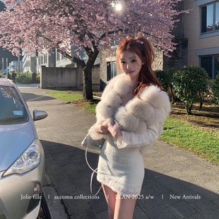 你的懒懒llan【仙子小狐】低饱和暖调冬日氛围狐狸毛皮草马甲女