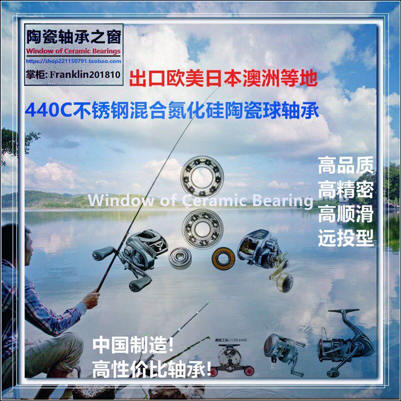 16 ABU MORRUM ZX MAG/IVCB Bearing阿布魔龙鼓轮陶瓷轴承P2/P4