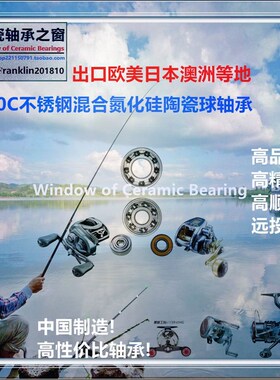 16 ABU MORRUM ZX MAG/IVCB Bearing阿布魔龙鼓轮陶瓷轴承P2/P4