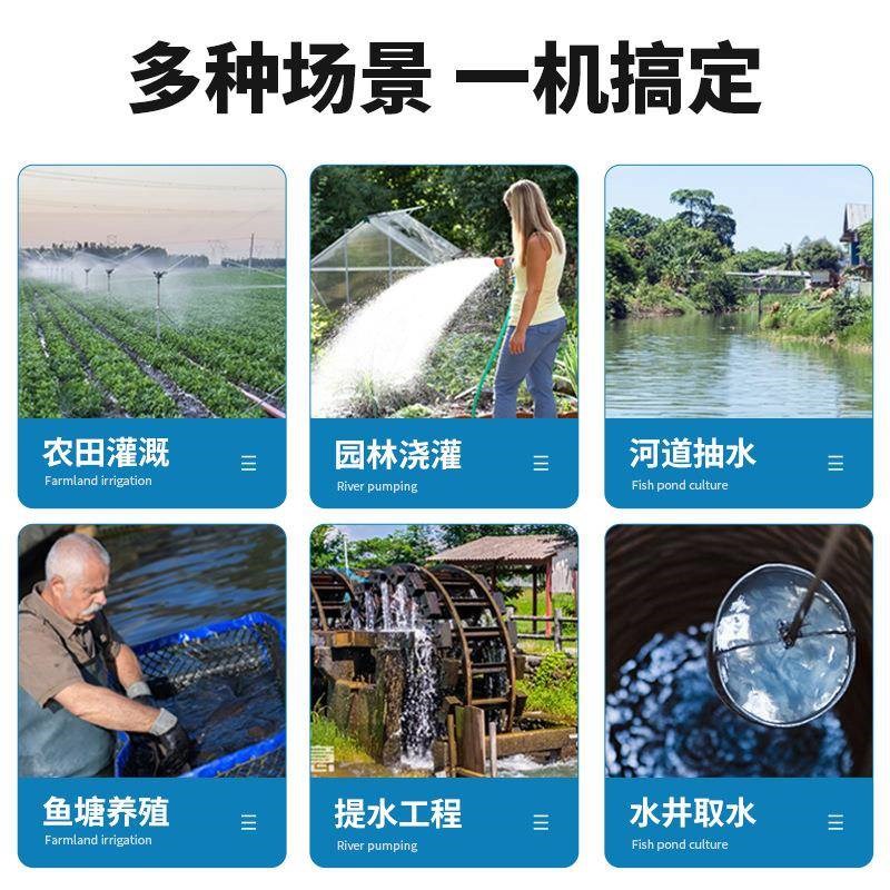 不锈钢潜水泵220v家用小型井水抽水泵农用灌溉高扬程排污水泵