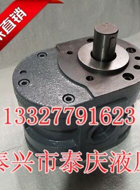 HY01-18*25 8X15 25*25 12X20 3*5X10机磨床70 100X25齿轮油泵CBJ