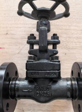 J41H/Z41H/H44H锻钢法兰停止阀闸阀止回阀高温高压蒸汽手动阀门