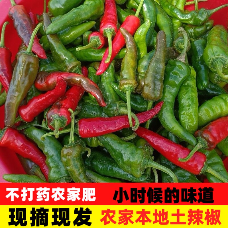 江西高安农家特辣薄皮虎皮青椒