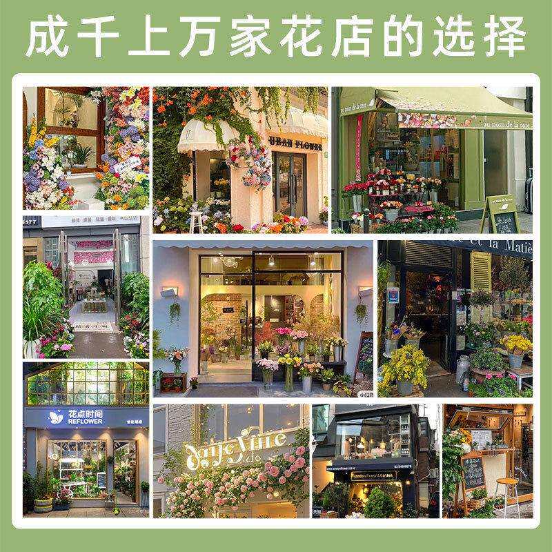 鲜花保鲜柜商用大容量风冷鲜花柜冷柜展示柜无霜冰柜
